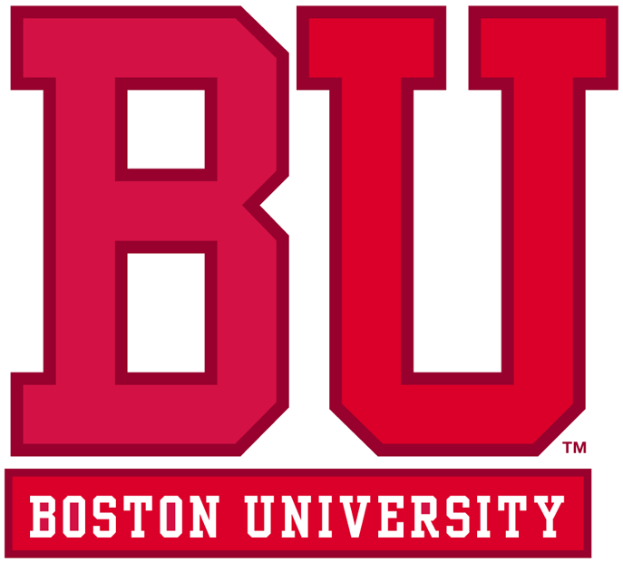 Boston University Terriers 2005-Pres Wordmark Logo v3 diy fabric transfer
